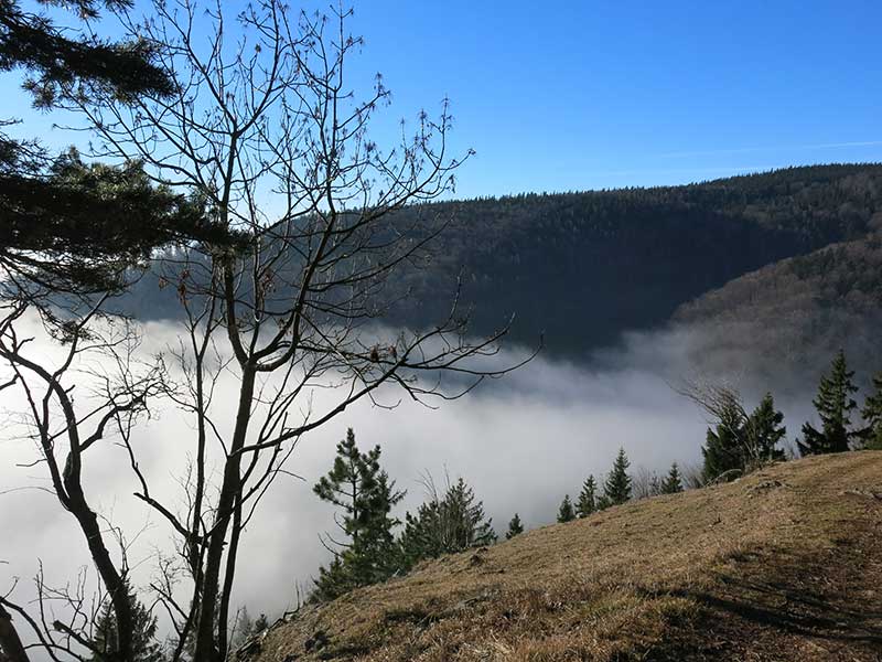 Hohe Wand